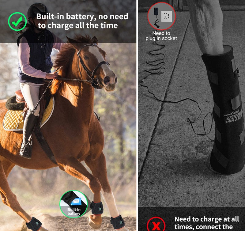 LED Therapy Lamp Red Light Infrared Large Pet Hoof Therapy Intensive Exercise Recovery Wound Healing Massager