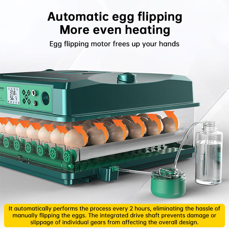 24/36 Egg Incubator Fully Automatic, Auto Turner & Temp Control, Dual Power 220V/12V Mini Poultry Hatcher for Chicken Duck