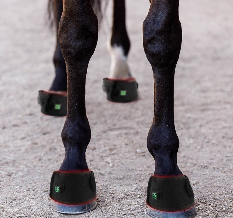 LED Therapy Lamp Red Light Infrared Large Pet Hoof Therapy Intensive Exercise Recovery Wound Healing Massager