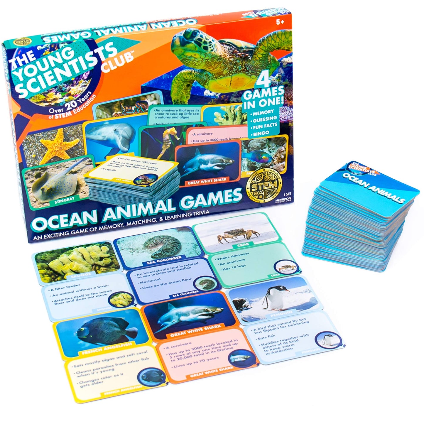 The Young Scientist Ocean Animal Card Games 4 Card Games in 1 Matching Bingo Memory Trivia Hands-On Educational STEM Fun for Age 5 and Up Kids Card Games