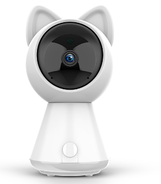 Camera, Recorder, and Video Device